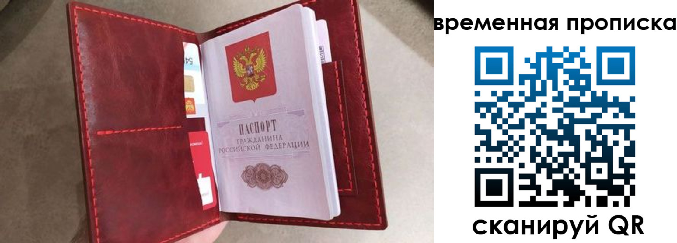 прописка в Кольчугино